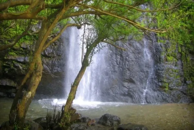 1 Day Luang Prabang To Kuang Si Waterfalls